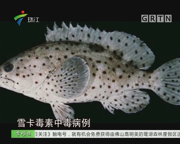 三亿体育官网