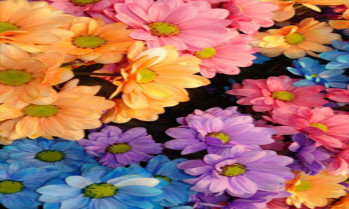 经典受苦动作游戏《蔷薇十字小剑》登陆Steam“三亿体育手机