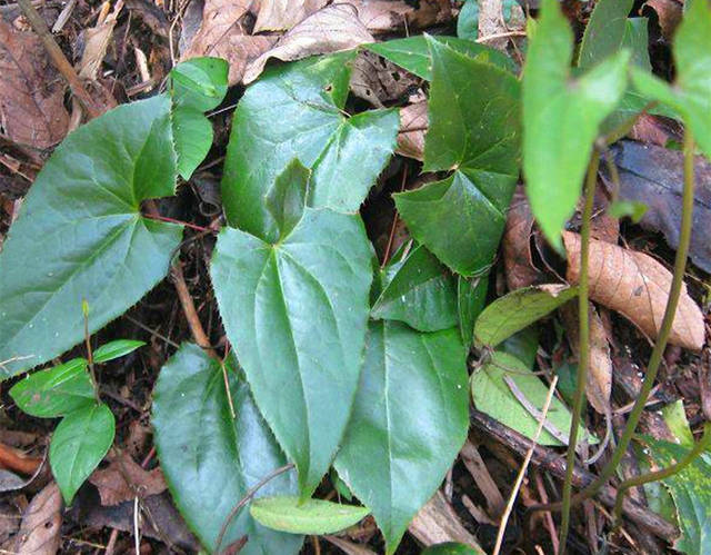 想去国家电网事情，湖北这所“四非大学”是首选，结业就有铁饭碗