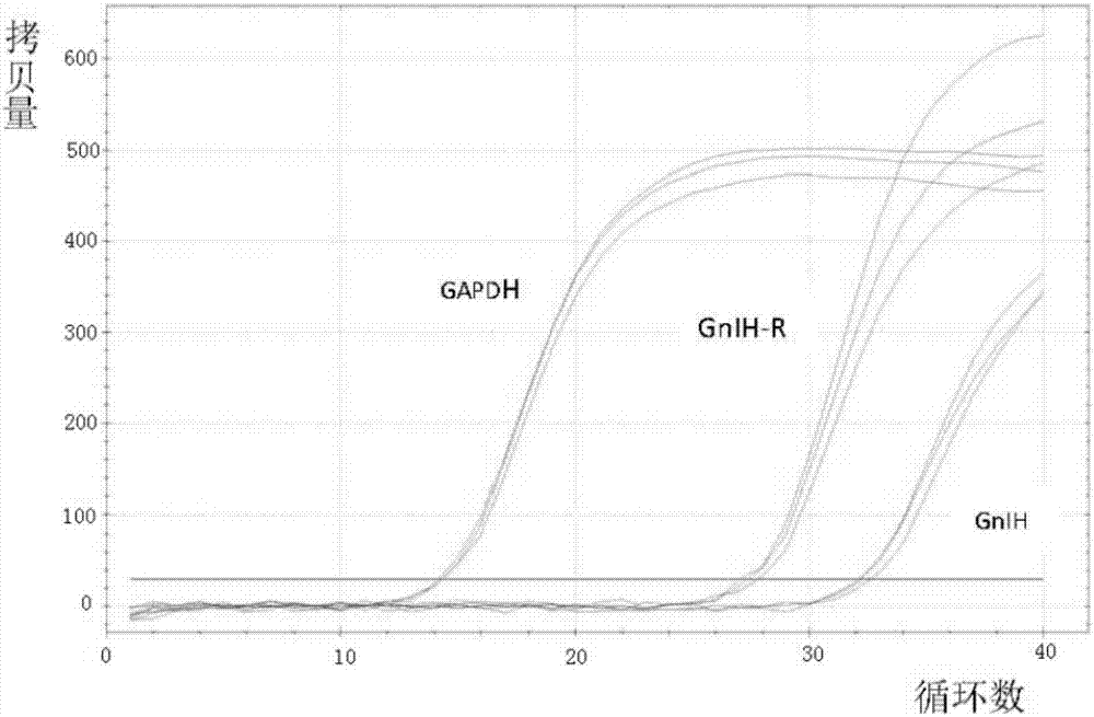 三亿体育手机版