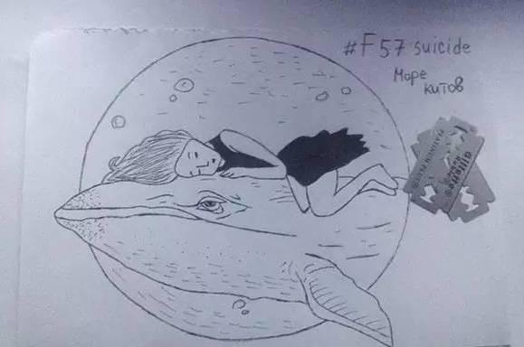 三亿体育手机版