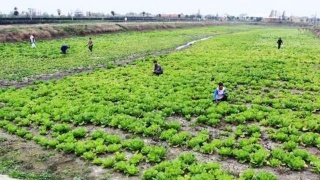 三亿体育手机版