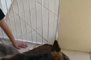 地下防水工程施工质量验收规范（GB50208-2002）‘三