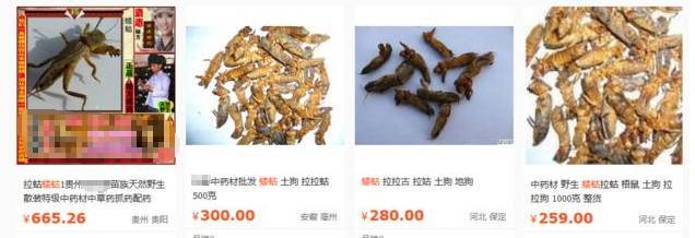 三亿体育官网|河南中建水电公司强化安全生产管理